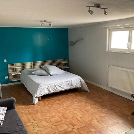 Appartement En Rez-De-Chaussee De Maison Montanay Экстерьер фото